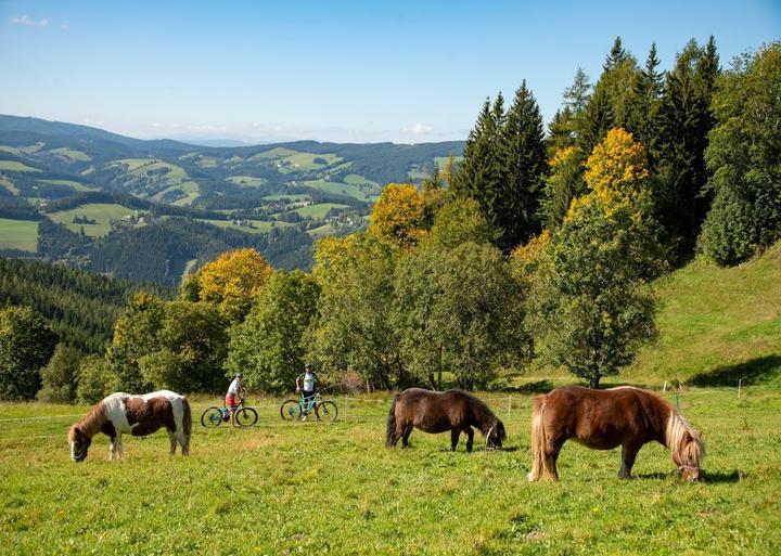 Gasthof & Biergarten Hohenrain